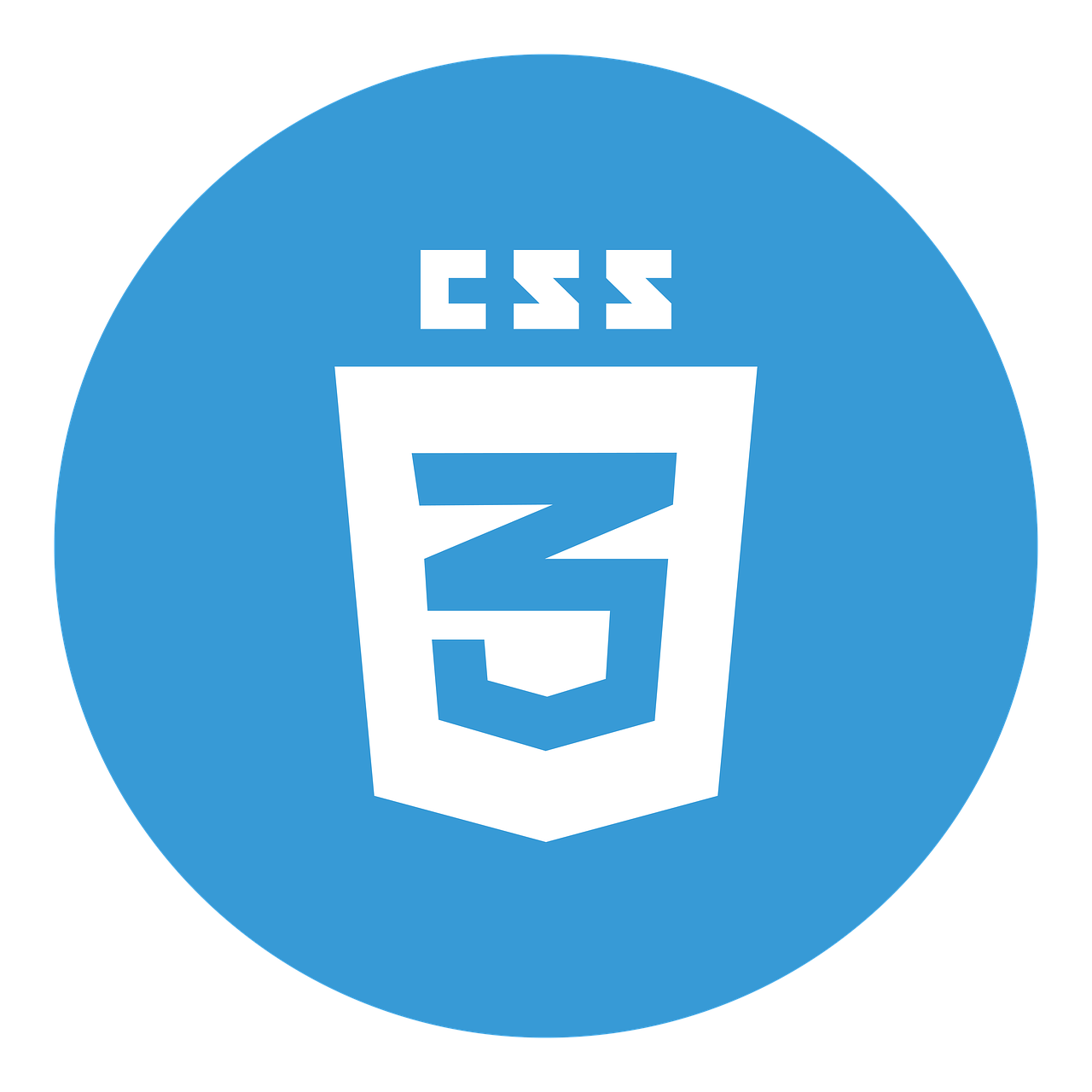CSS tricks logo